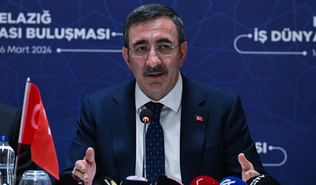 Cumhurbaşkanı Yardımcısı Yılmaz: Doğu ve Güneydoğu'nun büyüme hızı Türkiye ortalamasının üstünde olacak