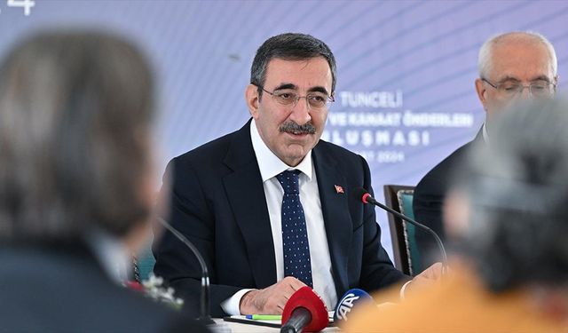 Cumhurbaşkanı Yardımcısı Yılmaz: Hiç kimsenin aracılığına ihtiyaç duymuyoruz