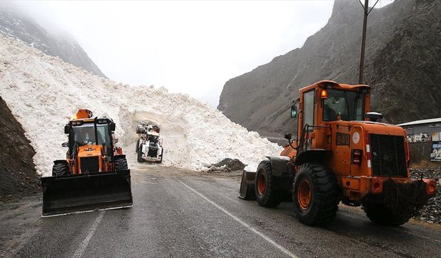 Hakkari-Çukurca kara yolu çığ nedeniyle kapandı