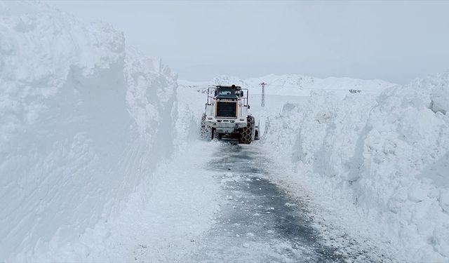 Hakkari'de çığ nedeniyle kapanan yolar açıldı