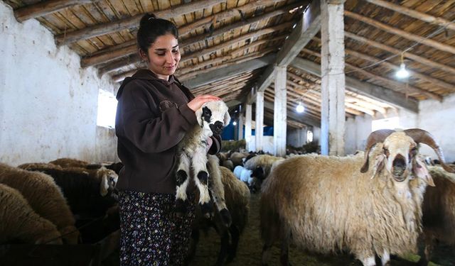 Hakkari'de gençler "Uzman Eller" projesiyle hayallerini gerçekleştirdi