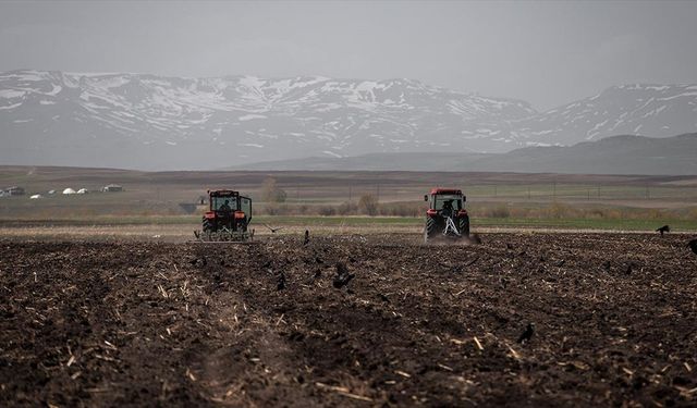 Karların eridiği Kars'ta çiftçiler yem bitkisi ekim mesaisinde