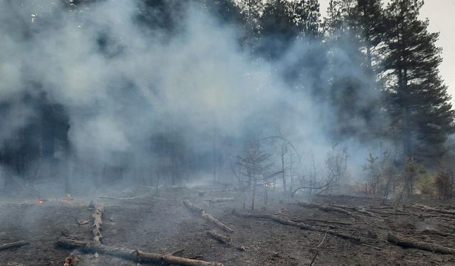 Kastamonu'da enerji nakil hattından sıçrayan kıvılcım ormanda yangına neden oldu