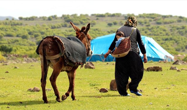 Göçer annelerin ömrü yolda ve çadırda geçiyor