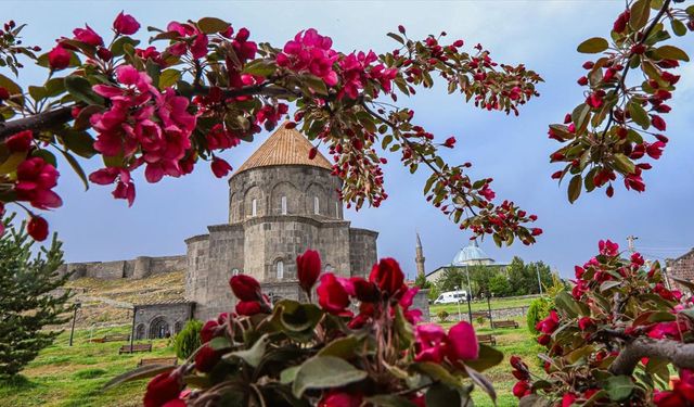 Kars'ta bahar çiçekleri doğaya renk kattı