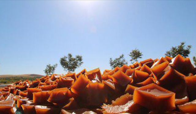 Şanlıurfa'nın "Hasenik pestili" coğrafi işaretle tescillendi