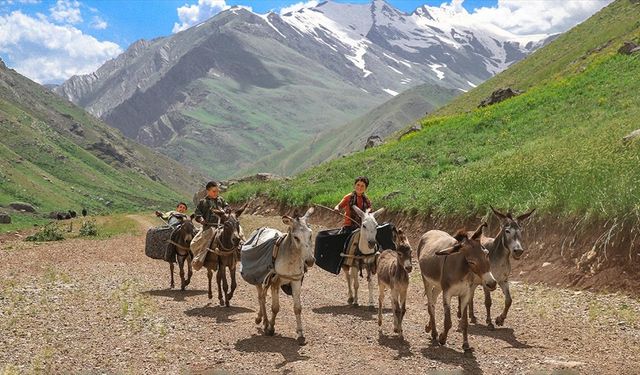 Hakkari'deki Han Yaylası, Şırnaklı göçerleri ağırlıyor