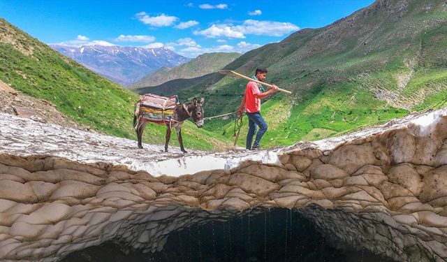 Kışın düşen çığ, yazın tarlalara "can suyu" oldu