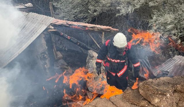 Malatya'da 600 dönümlük anız arazisi yandı, bir inek telef oldu