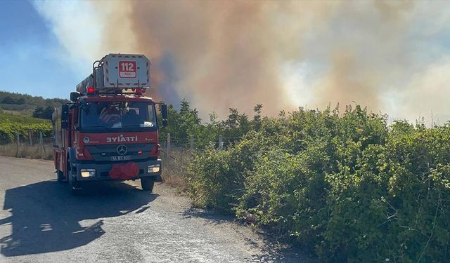 Sakarya'da ormanlık alanda çıkan yangın kontrol altına alındı