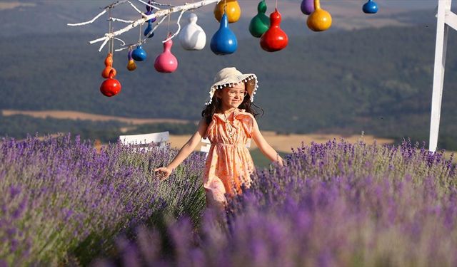 Tekirdağ'ın mor tarlalarında foto safari