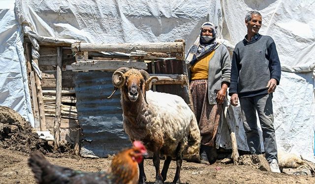 Vanlı besici 30 yıldır 2 bin 500 rakımdaki yaylada koyunlarına bakıyor