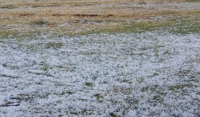 Ağrı'da dolu tarım arazilerine zarar verdi