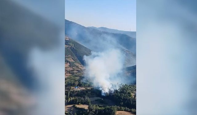 Balıkesir'de çıkan orman yangınına müdahale ediliyor