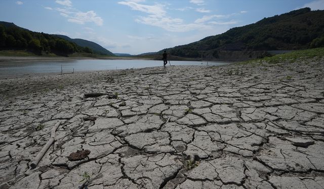 Batı Karadeniz'de mevsimsel kuraklık tarımsal üretim alışkanlığında değişim sinyali veriyor