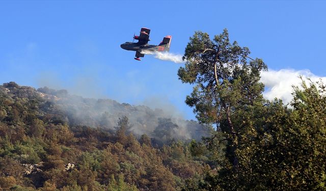 Bodrum'daki orman yangını kontrol altına alındı