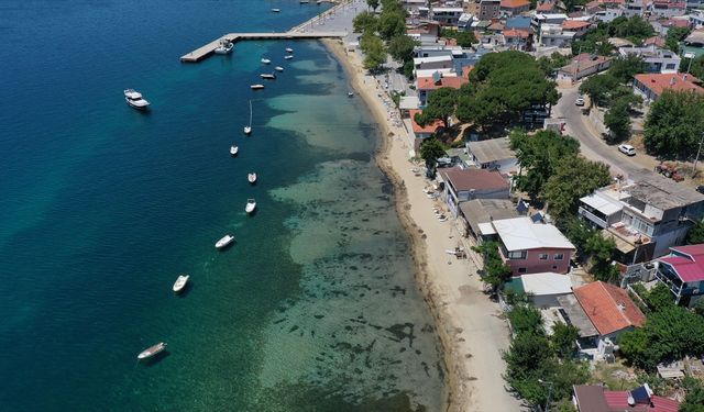 Denize girmelerini zorlaştırdığı için kepçeyle koruma altındaki deniz çayırlarını söktürdüler