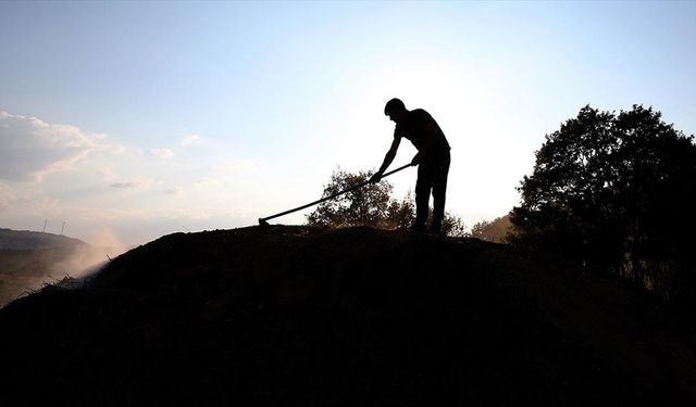 Geçimlerini evlerinden kilometrelerce uzakta mangal kömürü üreterek sağlıyorlar