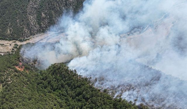 Karabük'te çıkan orman yangınına müdahale ediliyor