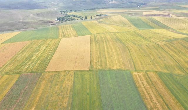 Kars'ta atıl durumdaki 48 bin 500 dekarlık alan üretime kazandırıldı