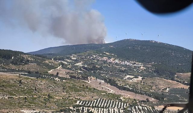 Manisa'nın Soma ilçesinde çıkan orman yangınına müdahale ediliyor