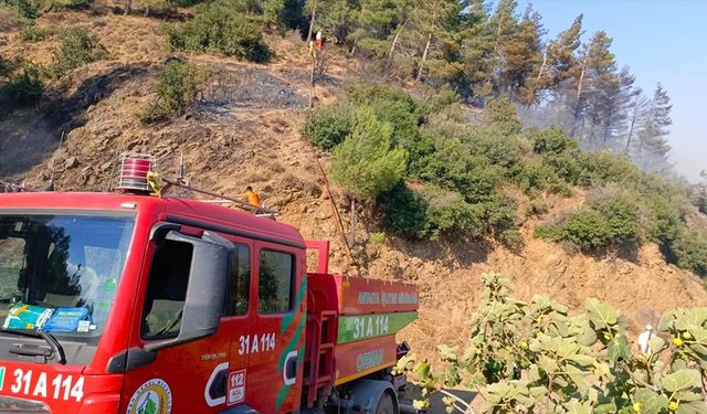 Hatay'da çıkan orman yangını kontrol altına alındı