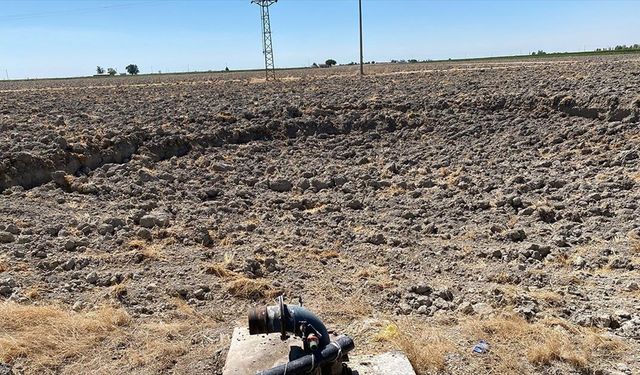 Karapınar'da 2 metre derinliğinde 20 metre çapında yeni bir obruk oluştu