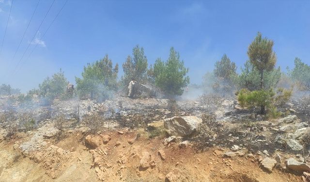 Mersin'de 4 noktada çıkan orman yangınları söndürüldü