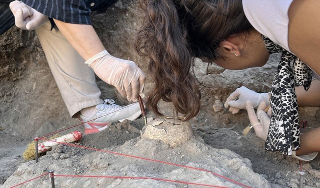 "Son Troyalılar"ın mezarları inceleniyor