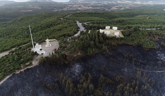 Tarihi Gelibolu Yarımadası'ndaki orman yangını kontrol altına alındı