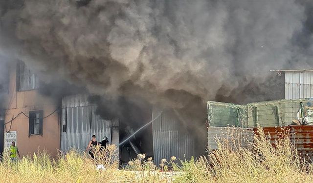 Tekirdağ'da geri dönüşüm tesisinde çıkan yangına müdahale ediliyor