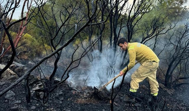 Muğla'da yıldırımlar 50 yerde yangına neden oldu