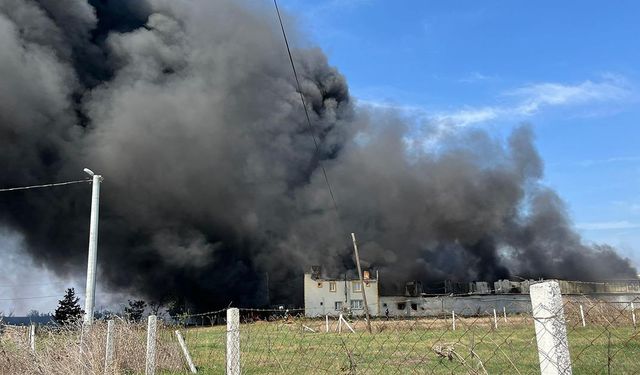 Tekirdağ'da fabrikada çıkan yangına müdahale ediliyor