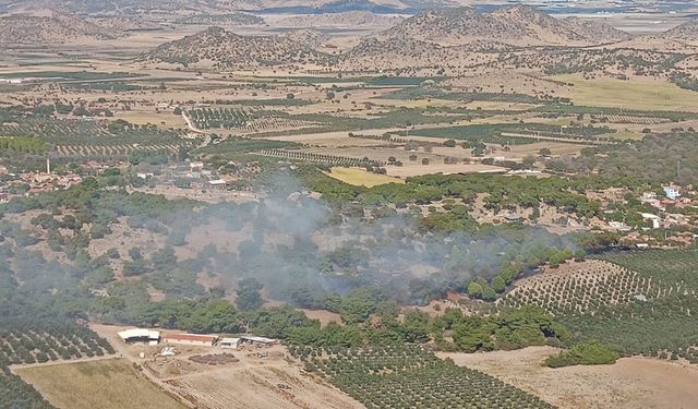 İzmir'de tarım arazisinde çıkan yangın ormana sıçradı