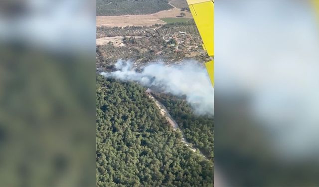 İzmir'de tarım arazisinde çıkıp ormana sıçrayan yangın kontrol altına alındı