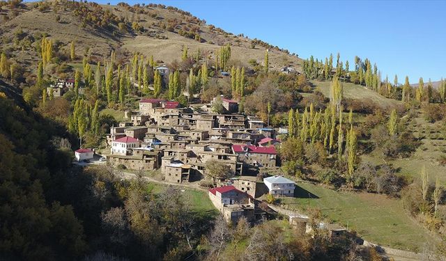 Bitlis'teki taş evlerde sonbahar güzelliği