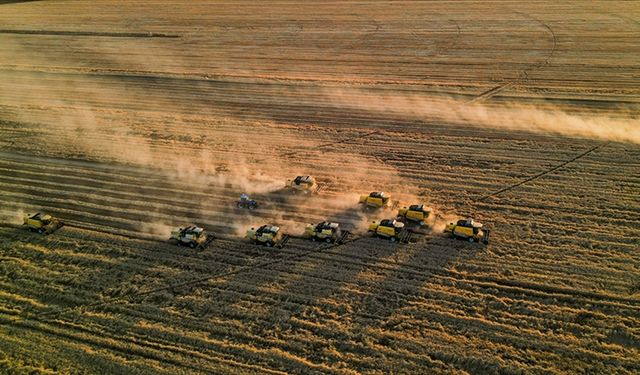 Tarımsal girdi fiyat endeksi eylülde aylık bazda yüzde 1,77, yıllık yüzde 31,83 arttı