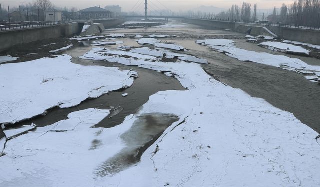Ağrı, Kars ve Ardahan'da sulak alanlar buz tuttu, ağaçları kırağı kapladı