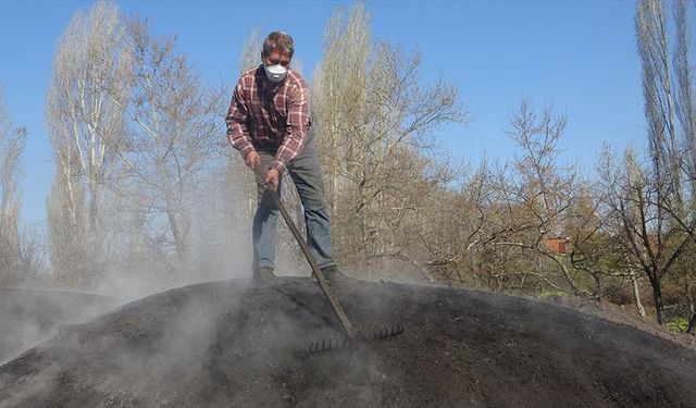 Çanakkale'den ABD ve Avrupa'ya yıllık 60 ton mangal kömürü gönderiyor