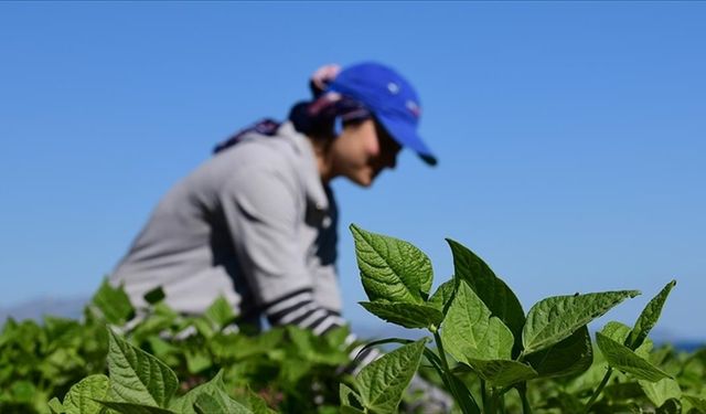 Kırsal kalkınma destekleri için başvurular 21 Nisan'a kadar devam edecek