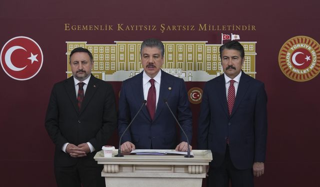 Türkiye, Uluslararası Adalet Divanı'nda 30 Nisan'da sözlü sunum yapacak