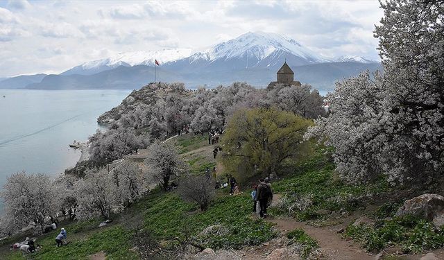 Van'da düzenlenen "3. Akdamar Adası Badem Çiçeği Festivali" sona erdi