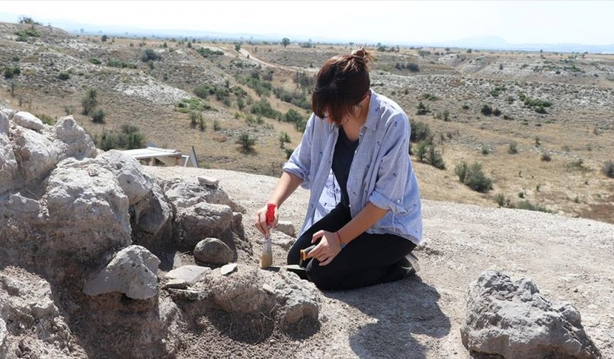 Denizli'deki arkeolojik kazıda yaklaşık 3500 yıllık üzüm çekirdeği kalıntısı bulundu