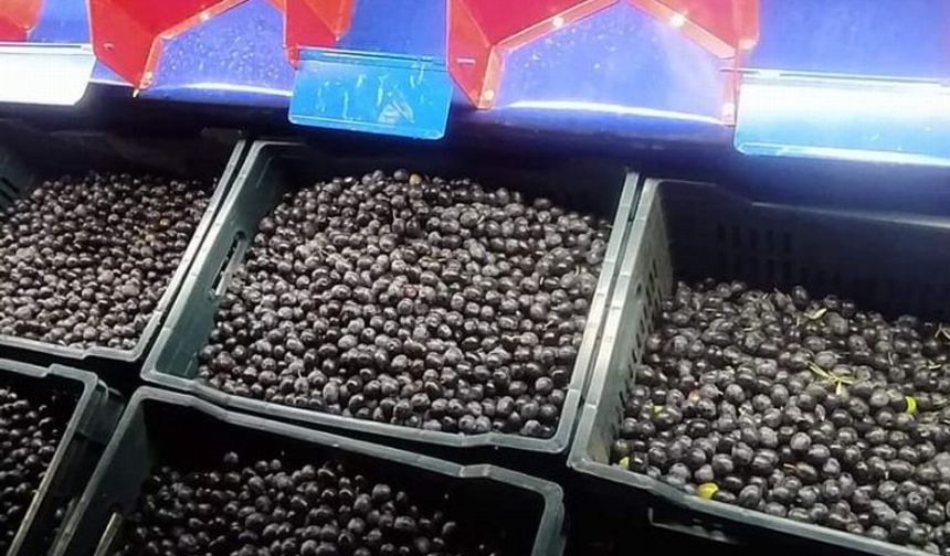 Manisa'da makine desteği yüzleri güldürüyor