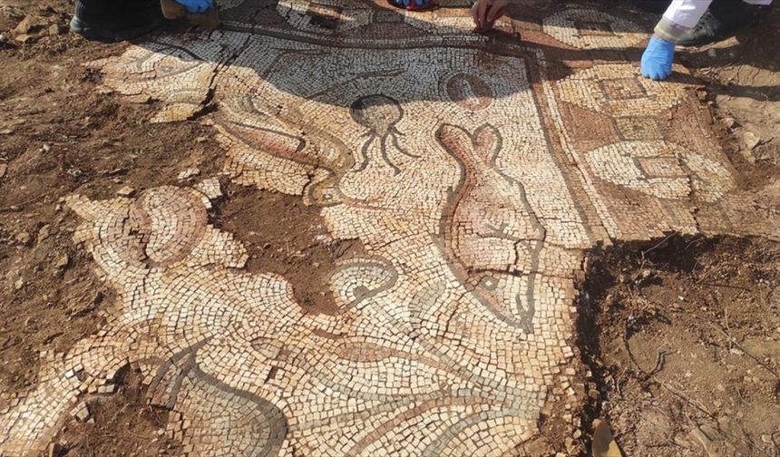 Mardin'de kurtarma kazısında deniz canlıları figürlü mozaikler bulundu