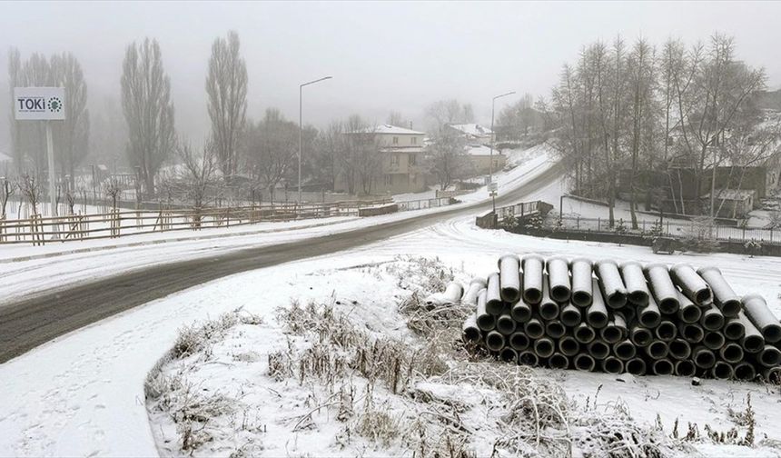 Ardahan'da kar ve sis, Kars'ta kar yağışı etkili oldu