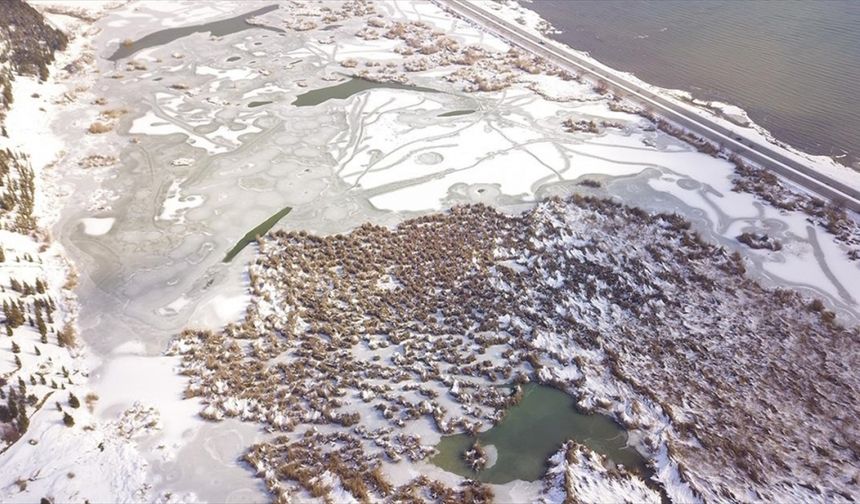 Yüzeyi buzla kaplanan Ahlat'taki "Kuş Cenneti" dronla görüntülendi
