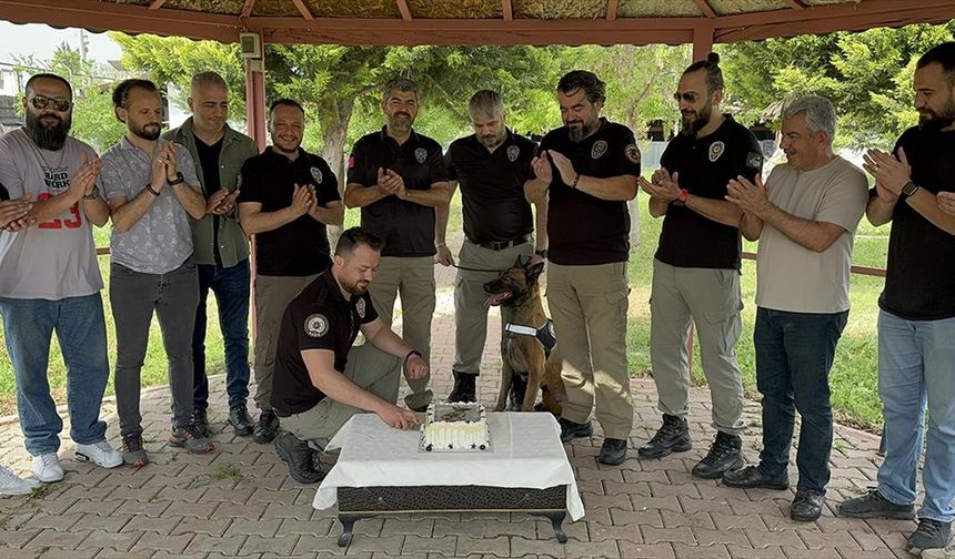 Adana'da narkotik dedektör köpeği "Hulk"un doğum günü kutlandı