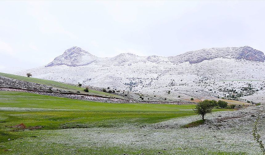 Bayburt, Gümüşhane ve Ordu'nun yüksek kesimlerinde kar etkili oldu