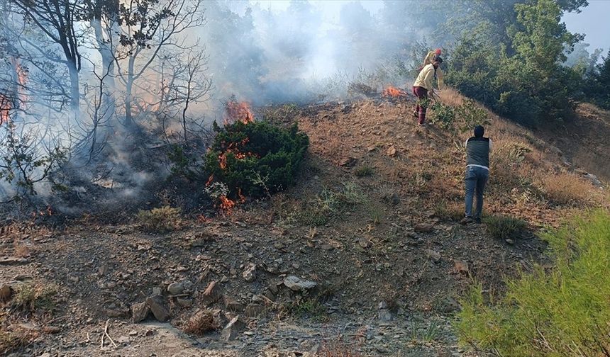 Bingöl'de ormanlık alanda çıkan yangın söndürüldü